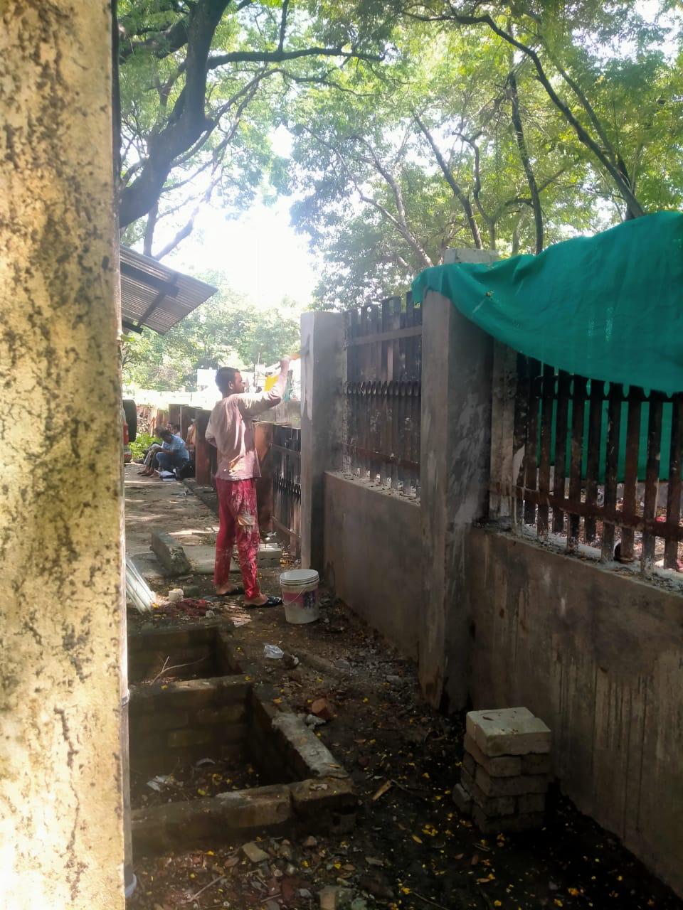 Collector Office